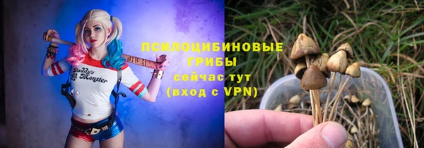 эйфоретик Ладушкин