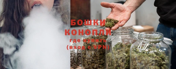 эйфоретик Ладушкин
