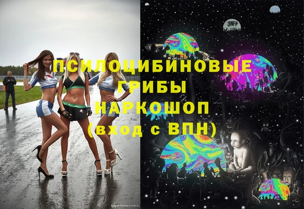 эйфоретик Ладушкин