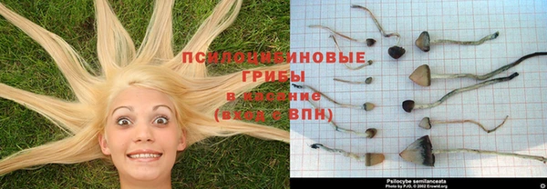 эйфоретик Ладушкин